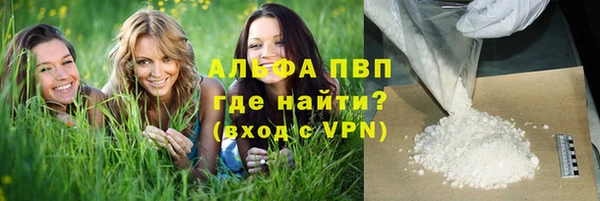 винт Абаза