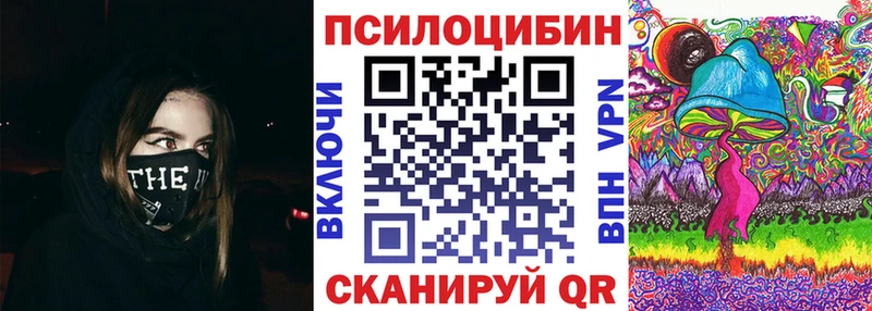 Галлюциногенные грибы Psilocybine cubensis сколько стоит Камызяк
